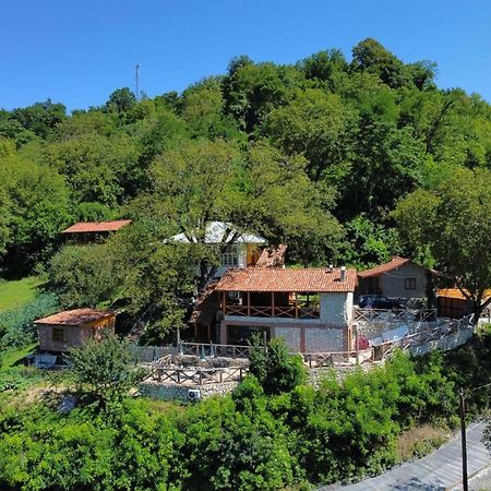 Sadmeli Winery Hotel Ambrolauri Bagian luar foto