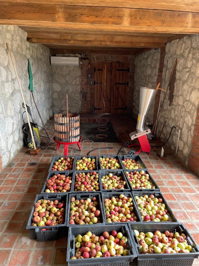 Sadmeli Winery Hotel Ambrolauri Bagian luar foto