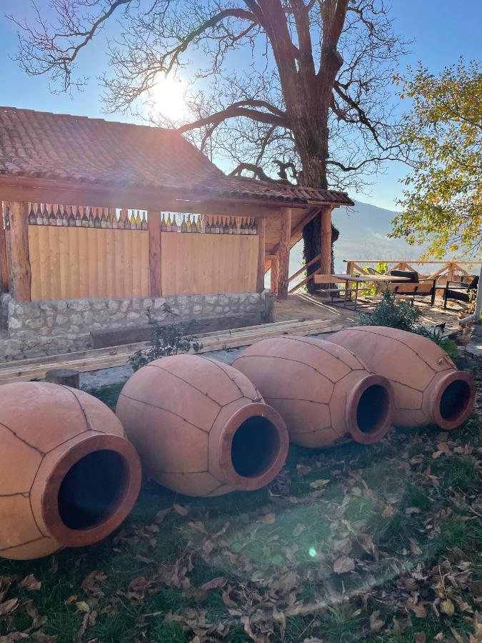 Sadmeli Winery Hotel Ambrolauri Bagian luar foto