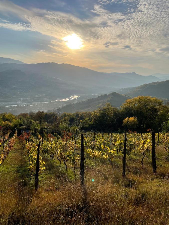 Sadmeli Winery Hotel Ambrolauri Bagian luar foto