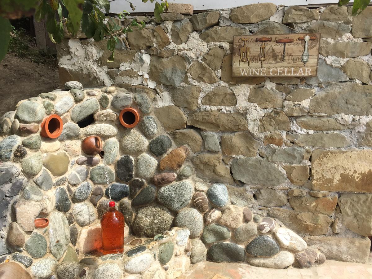 Sadmeli Winery Hotel Ambrolauri Bagian luar foto